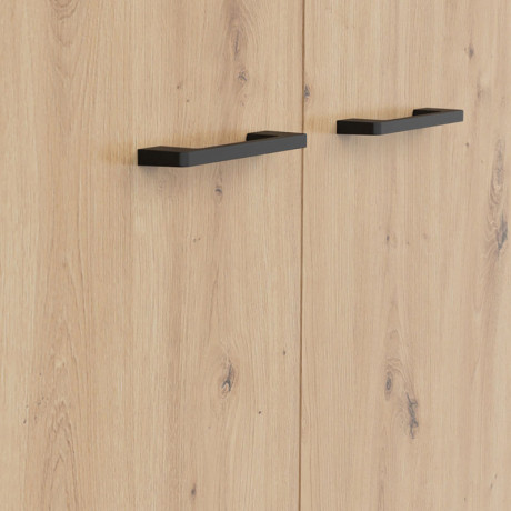 SZF2D/200 SPACE OFFICE BRW Wardrobe