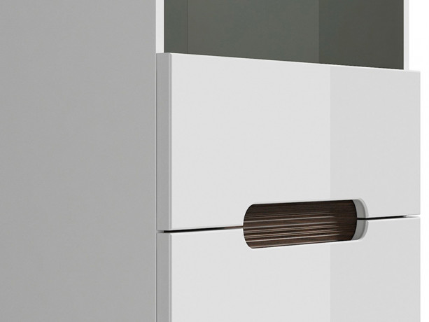 REG1W1D/19/6 AZTECA TRIO BRW Glass-Fronted Cabinet