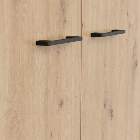 REG2D/200/F20 SPACE OFFICE BRW Tall Cabinet