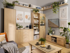 REG1D1W NEPO PLUS BRW Glass-Fronted Cabinet