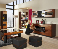 VERANO Cabinet with Drink Section MEBIN