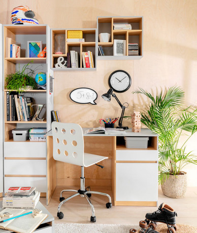 POL/50 NANDU BRW Shelf