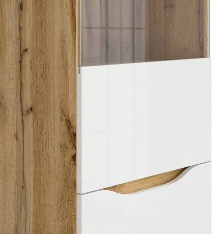 REG1D1W NUIS BRW Glass-Fronted Cabinet