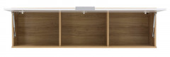 SFW1K ZELE BRW Wall Cabinet
