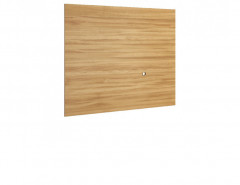 SMART Small TV Panel MEBIN