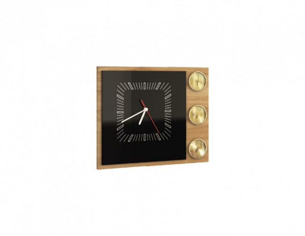 SMART Weather Station MEBIN