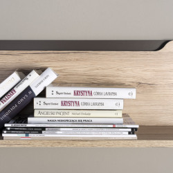 DESJO Living Room Furniture Set 1 SZYNAKA