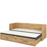 LOZ/80/160 TETRIX BRW Sofa Bed