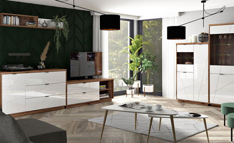 REG1D1W FORN BRW Glass-Fronted Cabinet