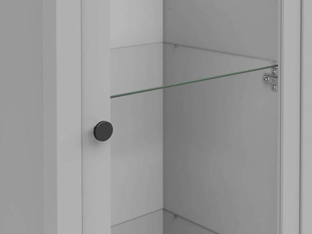 REG1W1S SALGA BRW Glass-Fronted Cabinet