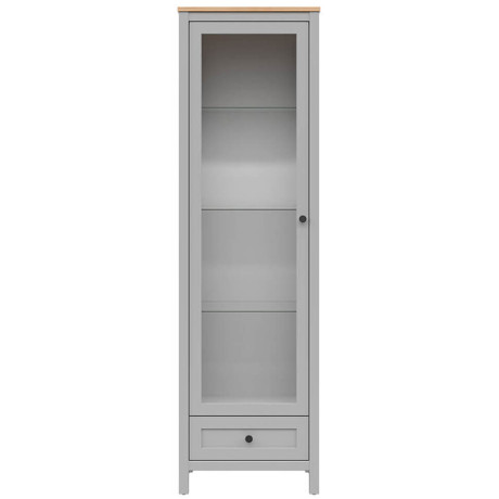 REG1W1S SALGA BRW Glass-Fronted Cabinet